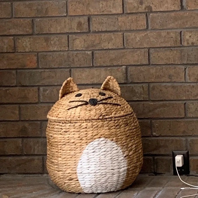 the cat shaped basket