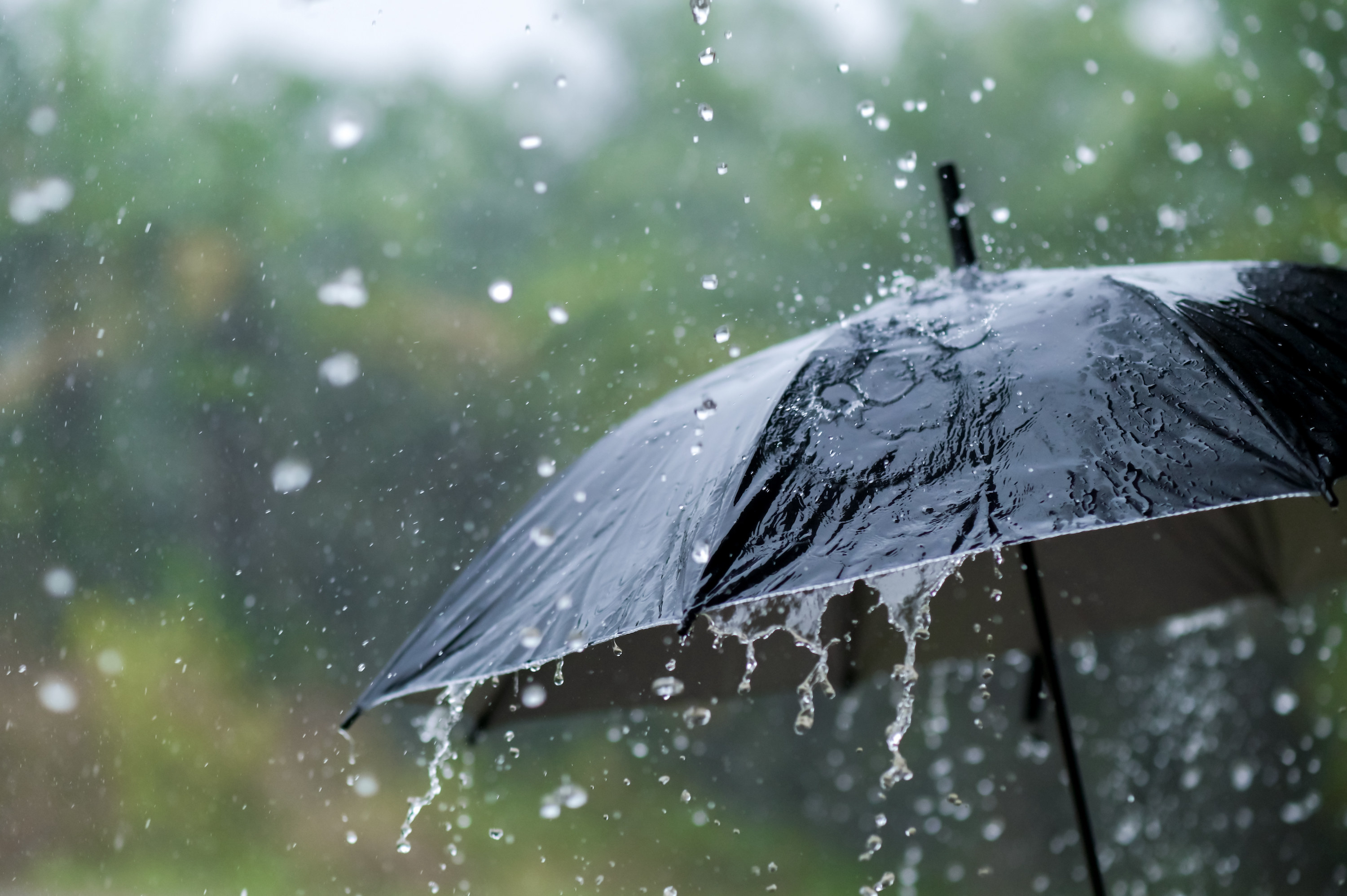 An umbrella catching rain