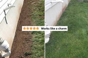 bare then full patch of grass after using lawn repair seed with 5 star review title "works like a charm"