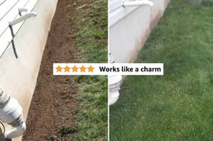bare then full patch of grass after using lawn repair seed with 5 star review title "works like a charm"