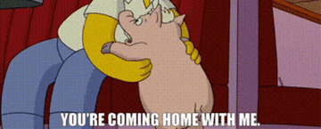 Homer Simpson picking up a pig saying &quot;you&#x27;re coming home with me&quot;
