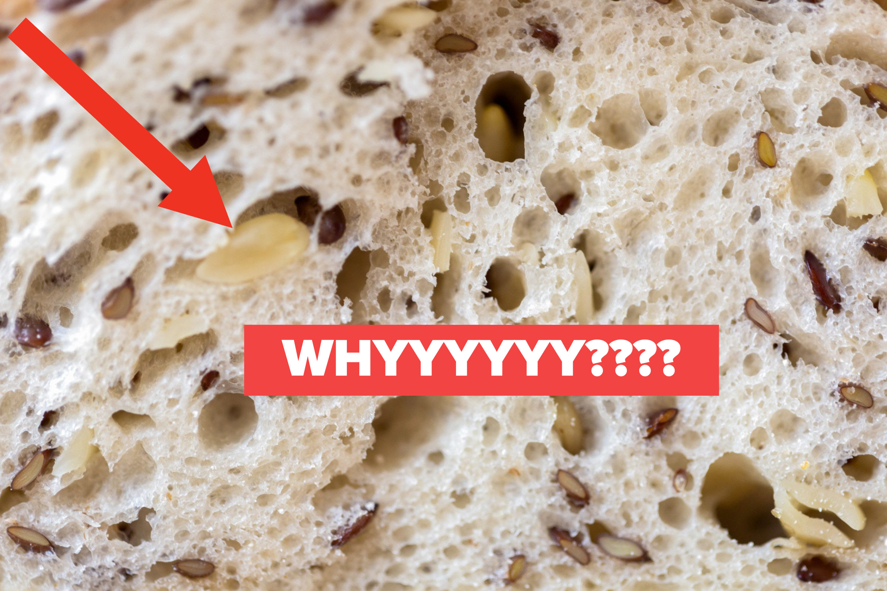 Close-up of sourdough bread with nuts in it