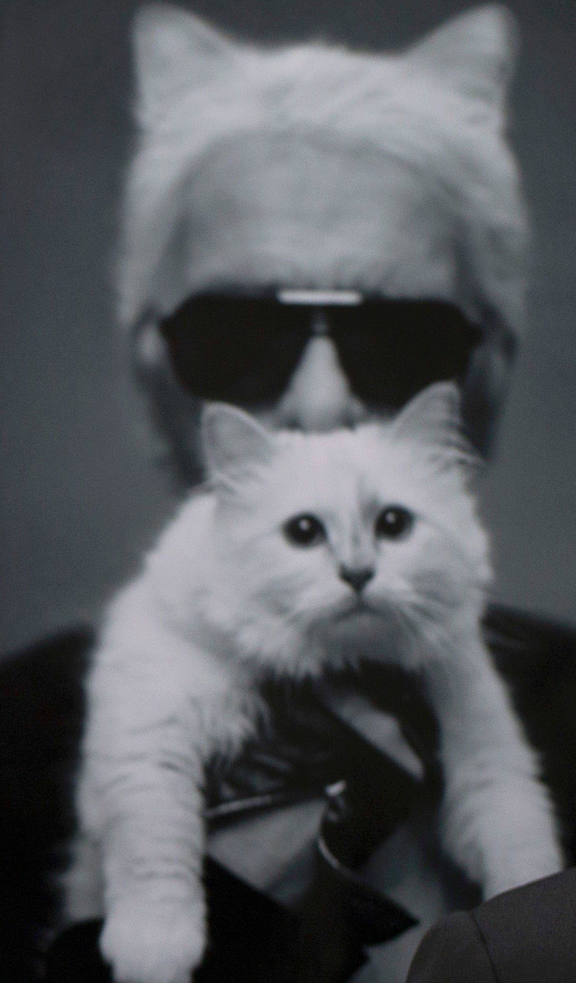 Karl Lagerfeld holding up his cat Choupette