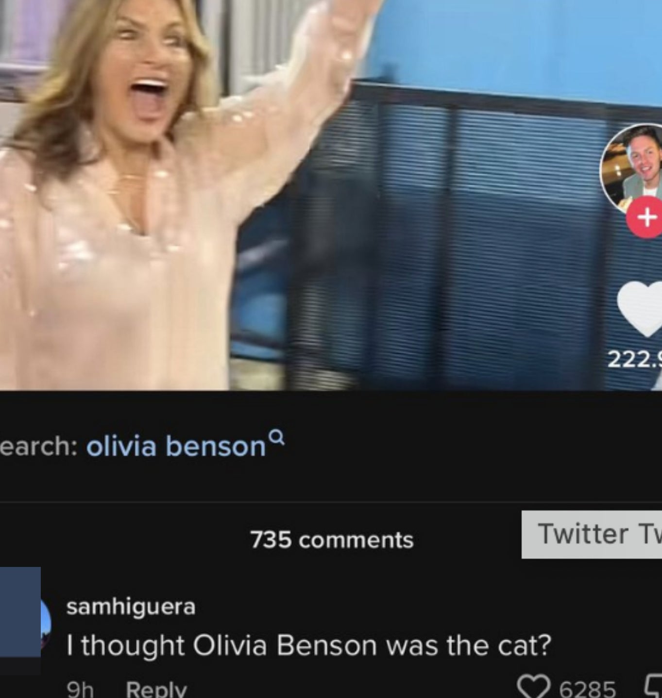 photo of olivia benson character and someone comments, i though olivia benson was the cat, referring to taylor swift&#x27;s cat