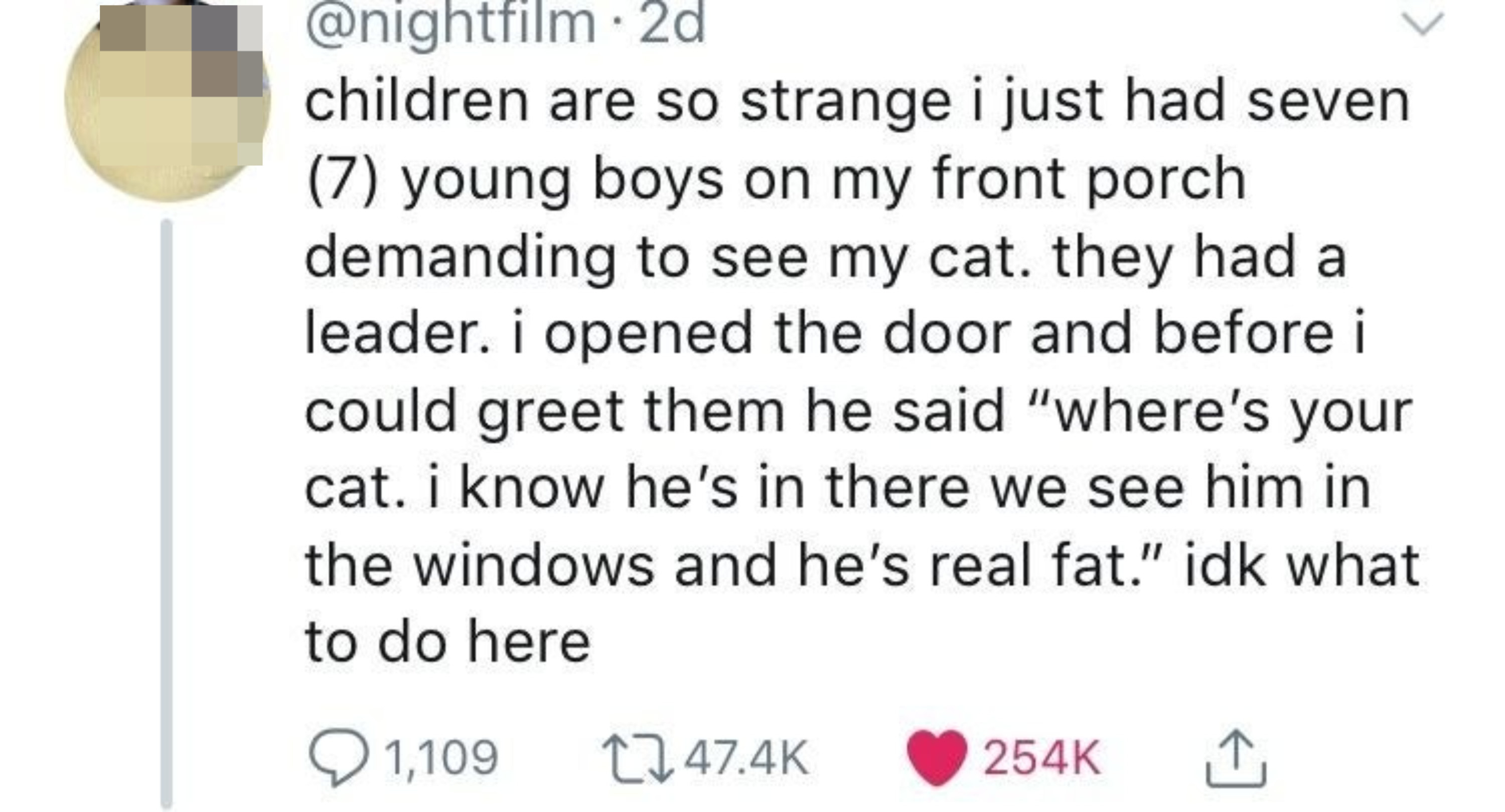 Screenshot of someone's tweet about children who wanted to see their cat