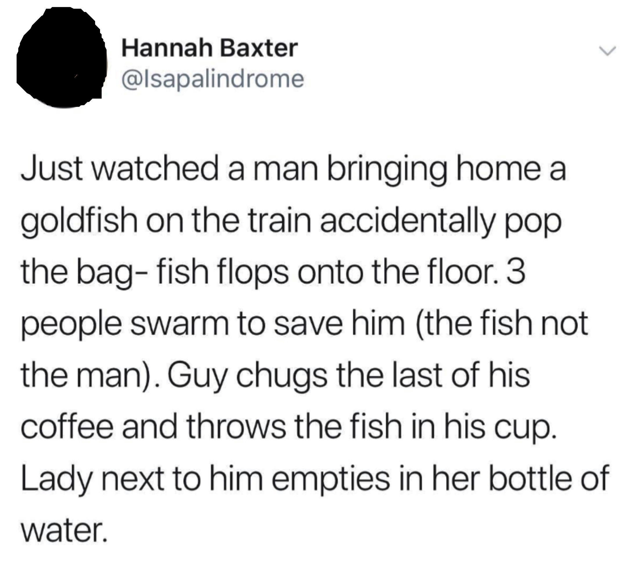 "Guy chugs the last of his coffee and throws the fish in his cup"