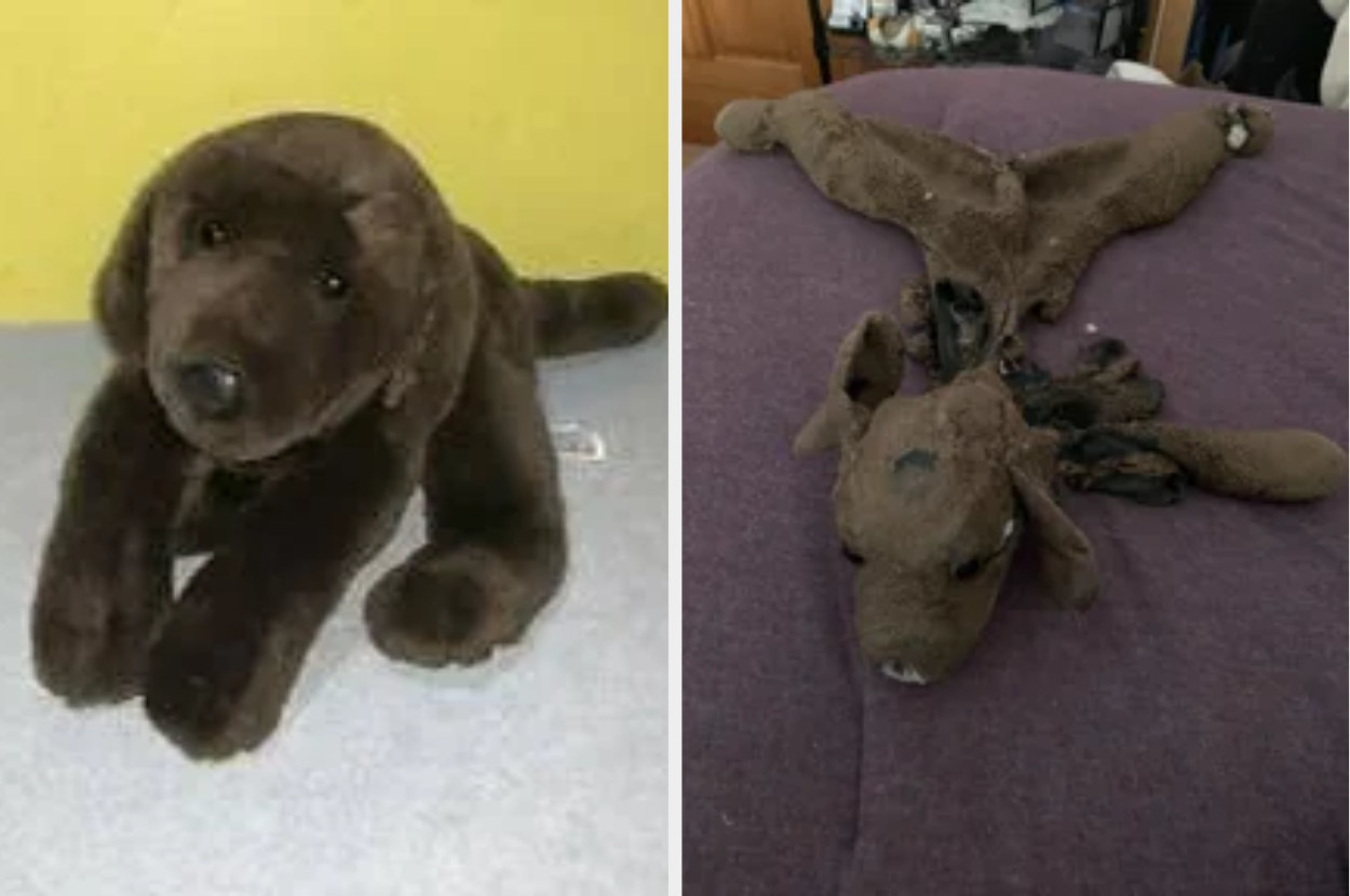 A new stuffed dog vs. a used one