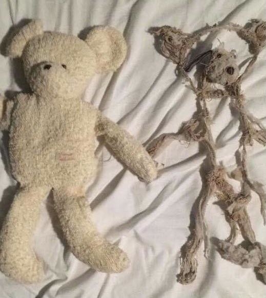 A stuffed bear next to a tattered one