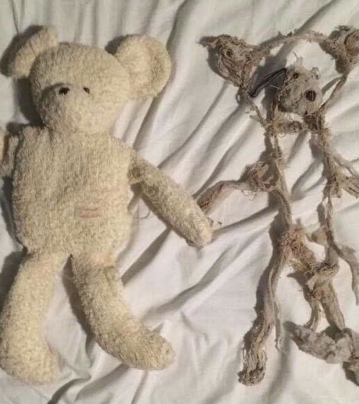 Old stuffed clearance animals