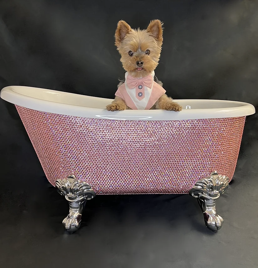 A dog sitting in a bedazzled bathtub