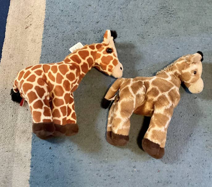 Stuffed animals for 10 year olds store