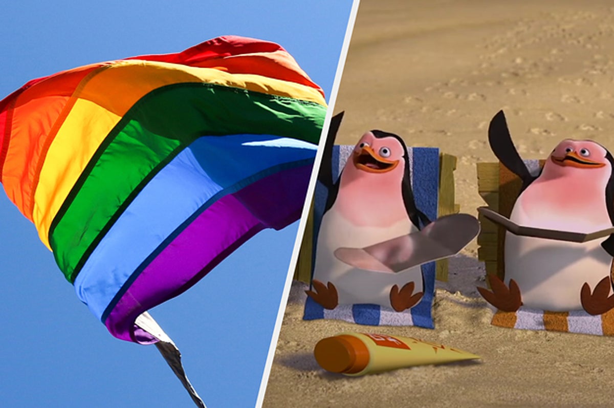 Gay Penguin Couple Personality Quiz