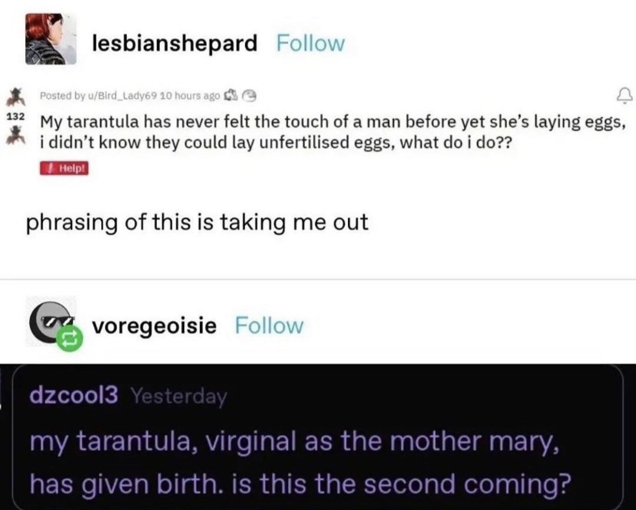 "phrasing of this is taking me out"