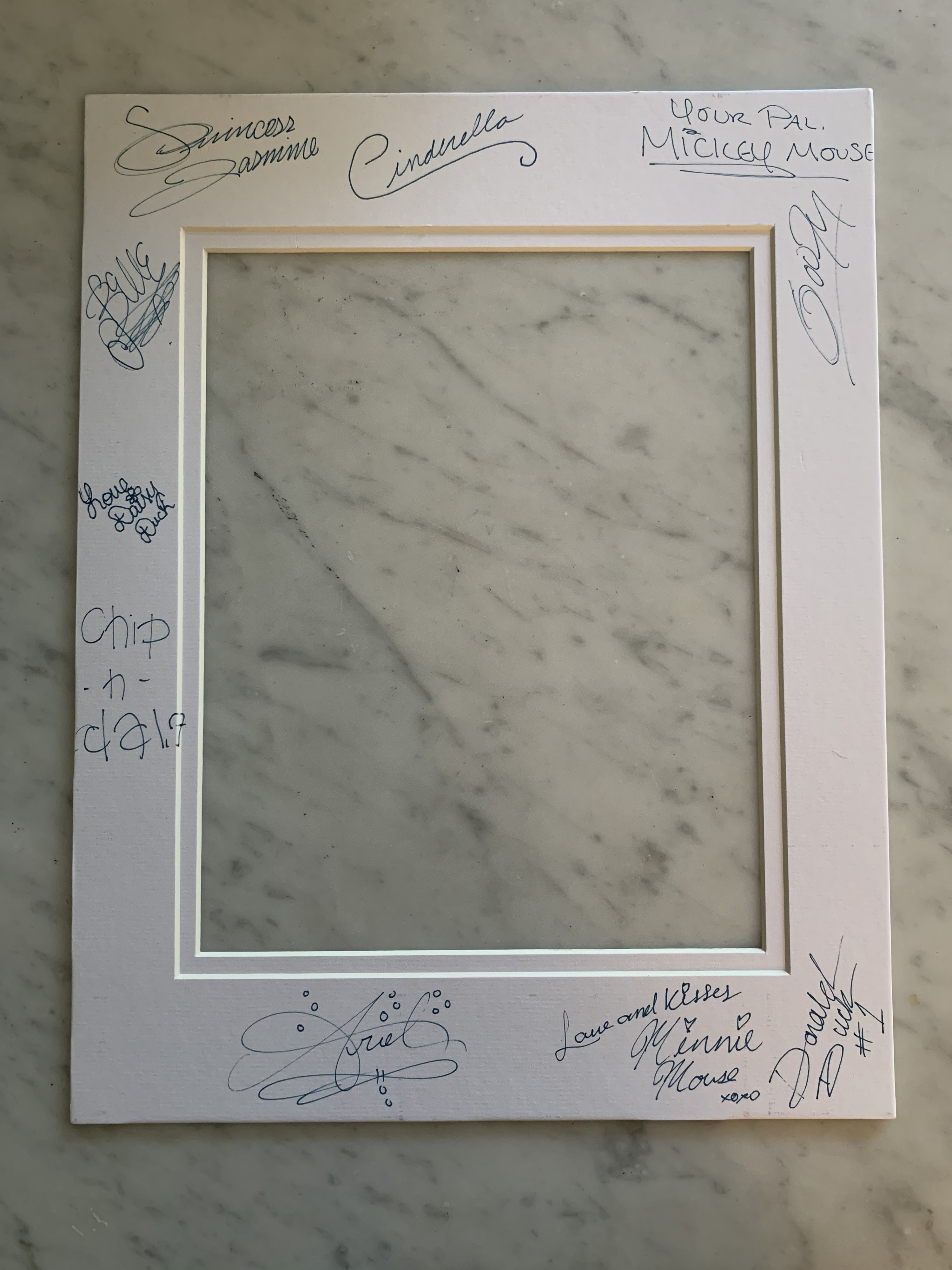 My photo matte signed by: Ariel, Minnie Mouse, Donald Duck, Chip &amp;amp; Dale, Daisy Duck, Goofy, Mickey Mouse, Cinderella, Belle and Jasmine. 