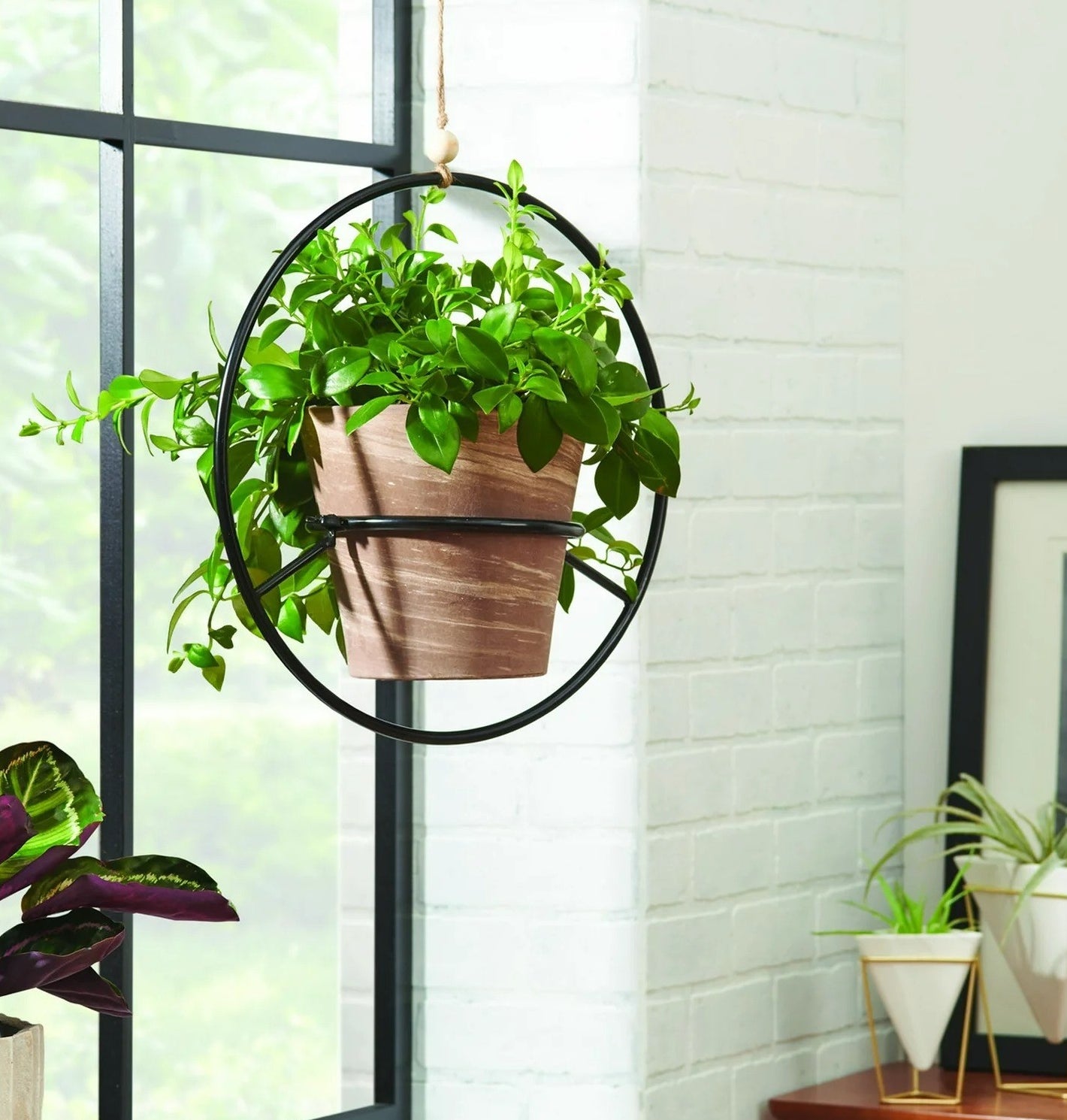 the circular black metal plant holder with a plant inside