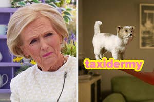mary berry from gbbo next to a taxidermy cat