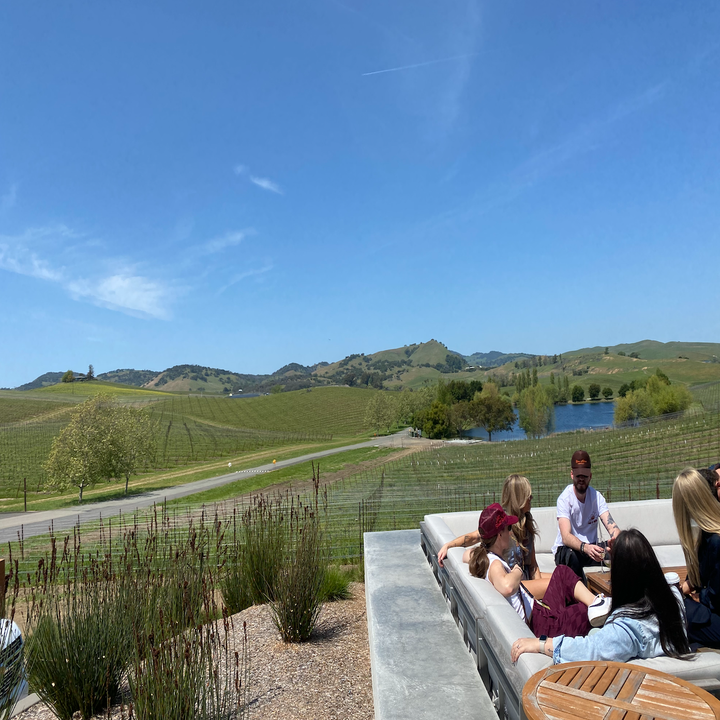 People in an outdoor patio overlooking a vineyard