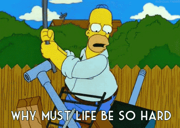 Homer saying, &quot;Why must life be so hard?&quot;