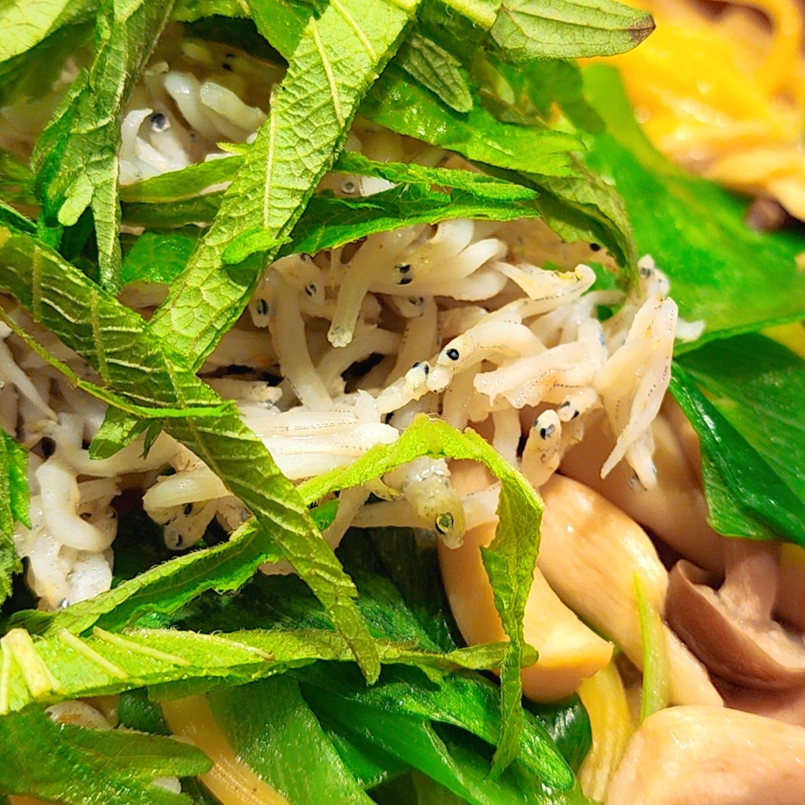 ガストのおすすめメニュー「しらすと九条ネギの出汁醤油バター」