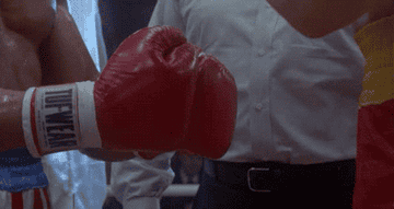 the two boxing