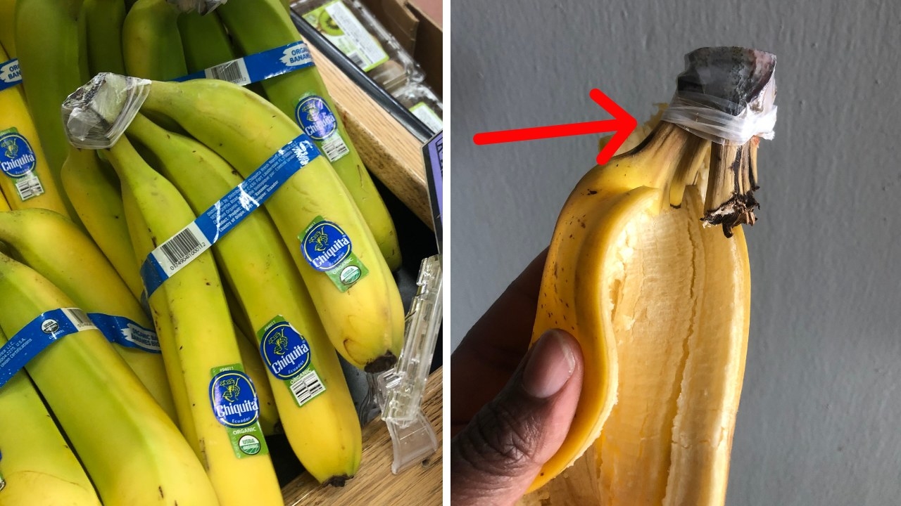 Picture of hand holding banana peal