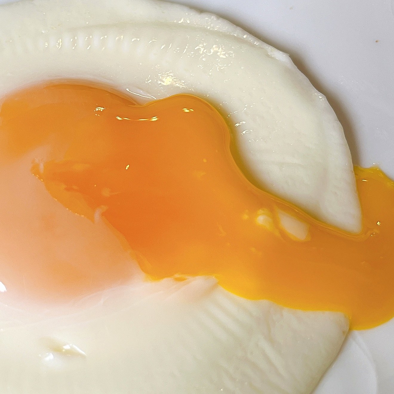 NITORI（ニトリ）のおすすめ調理グッズ「オーブントースター コンビプレート」