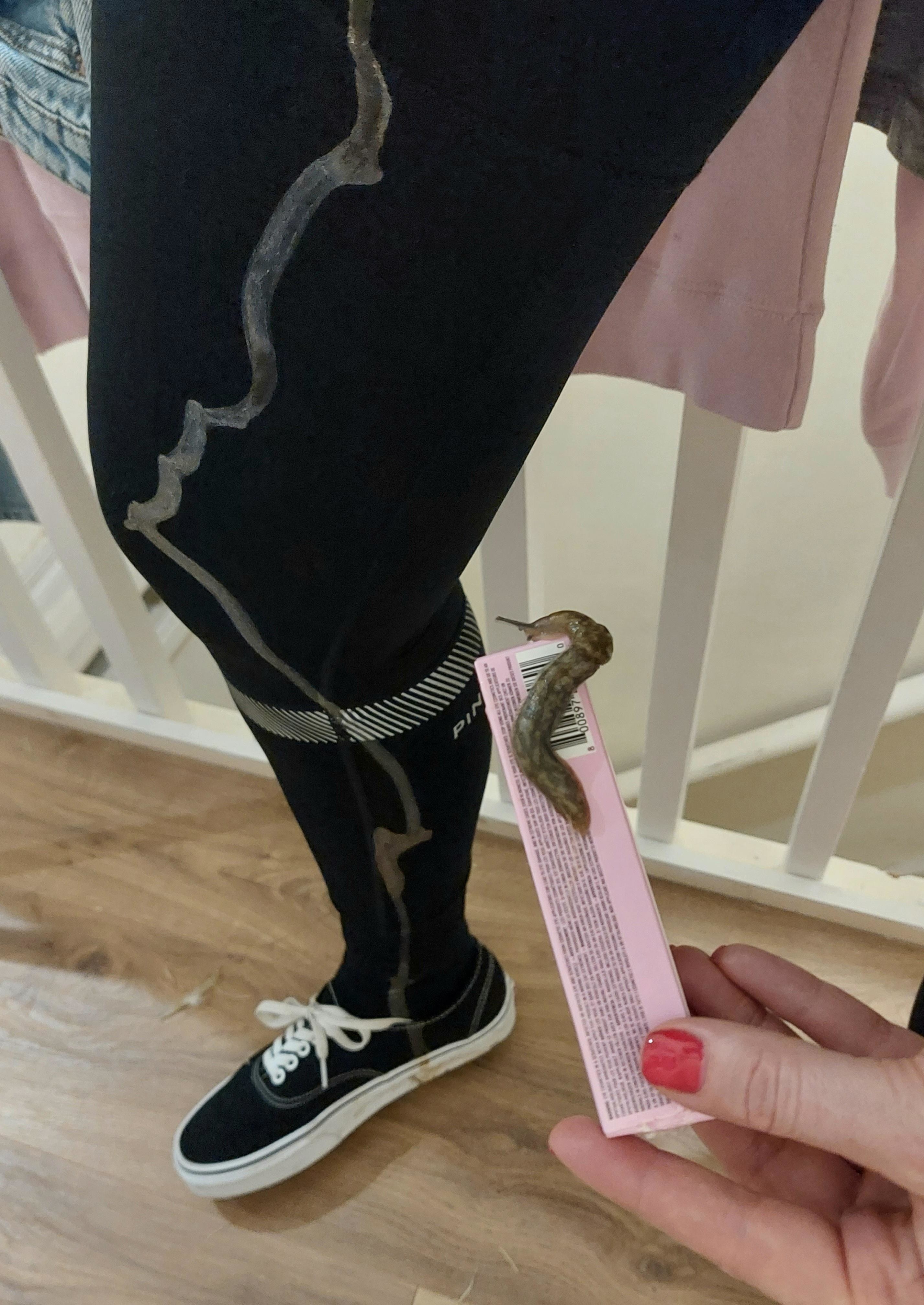 a woman wearing leggings with a long slimy slug trail going all the way up to her thigh