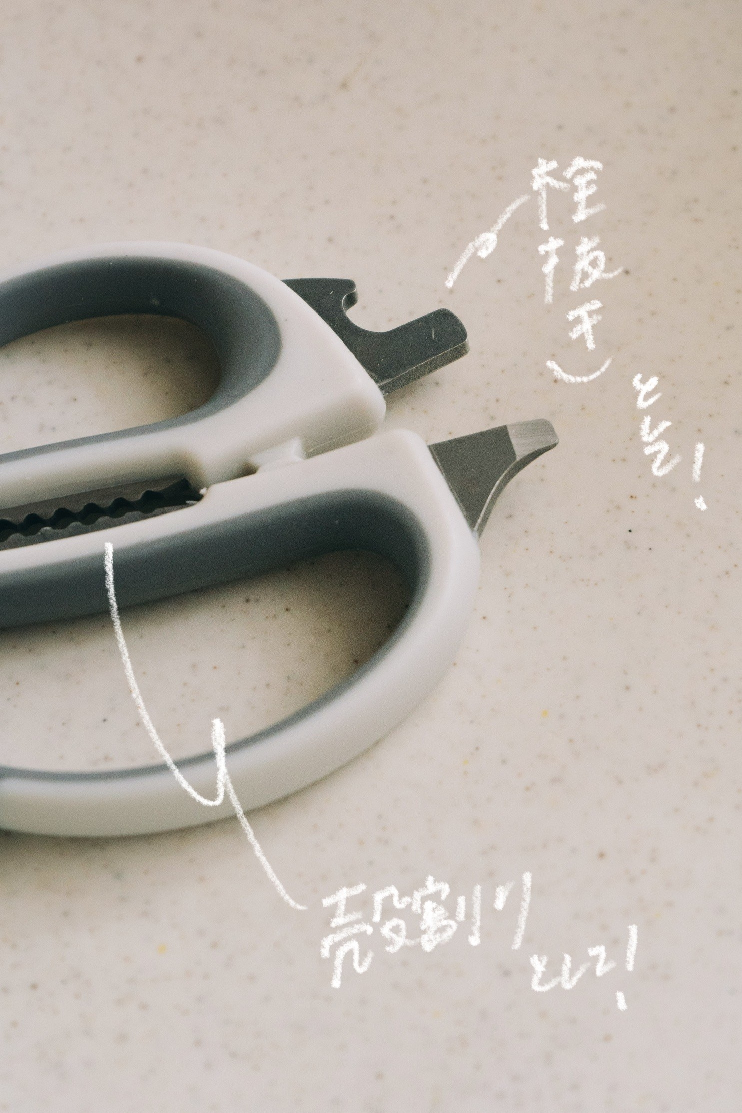 スリコのオススメキッチングッズ「≪分解できる!≫ケース付キッチンバサミ」