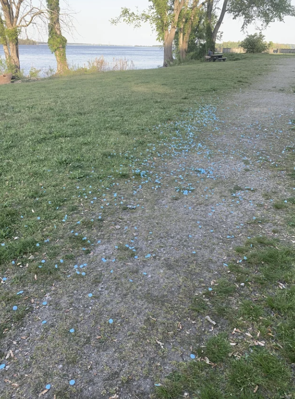 blue confetti left all over the park