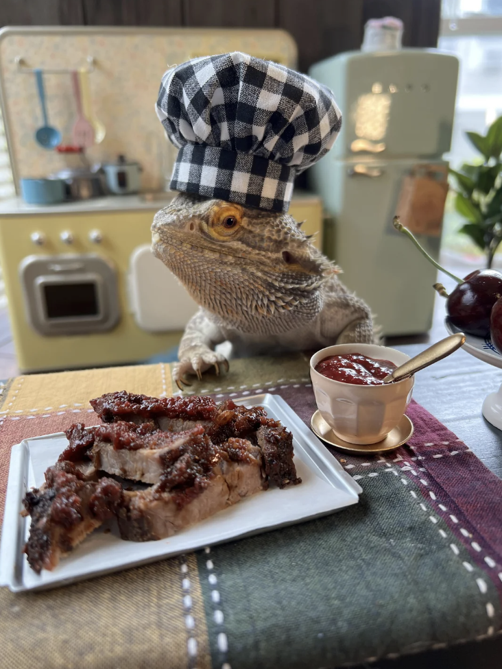 A bearded dragon wearing a chef's hat next to meat