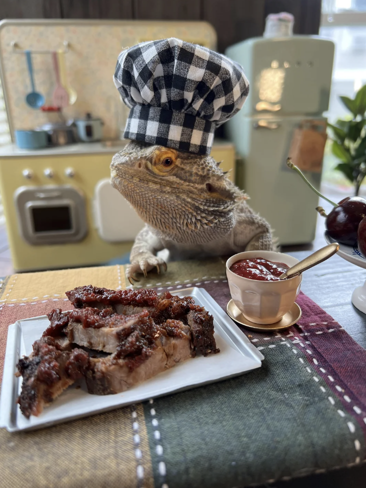 A bearded dragon wearing a chef&#x27;s hat next to meat