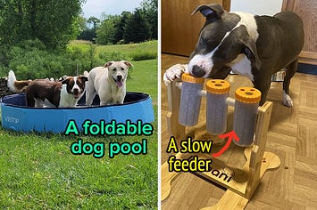Two dogs in a foldable pool/A dog trying to flip over containers to release food