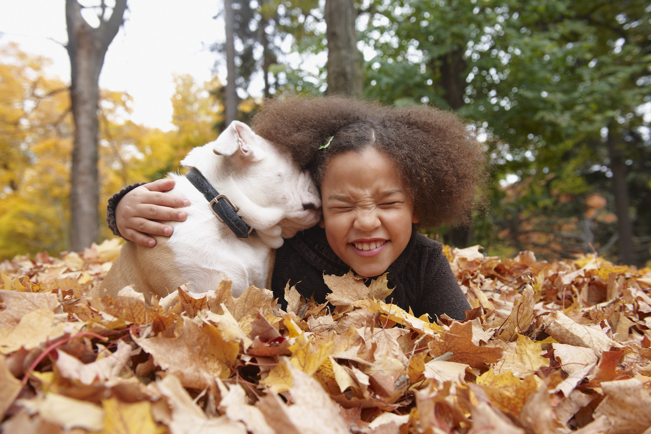 kid and her dog playing in the leaves