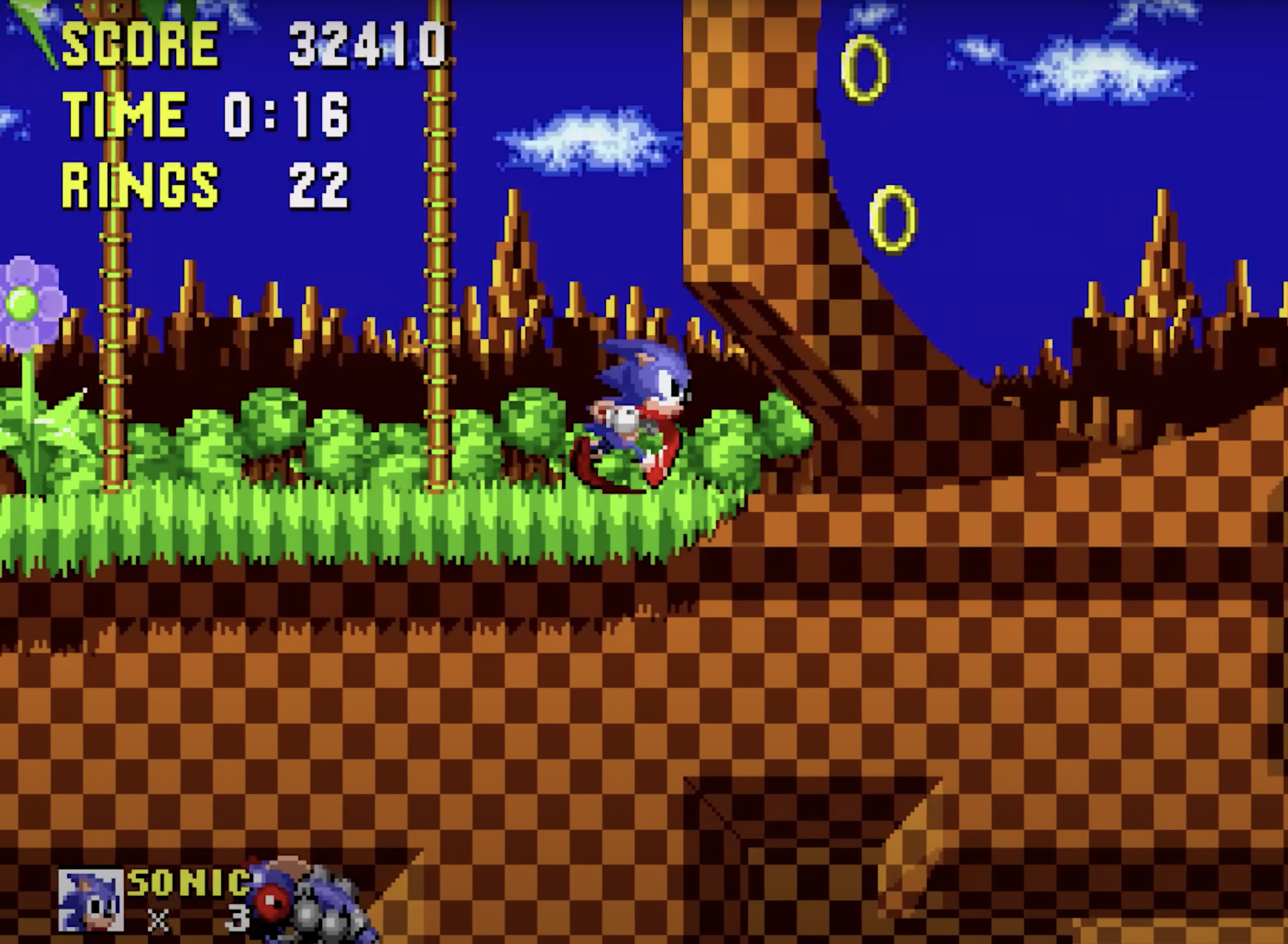 screenshot of sonic the hedgehog