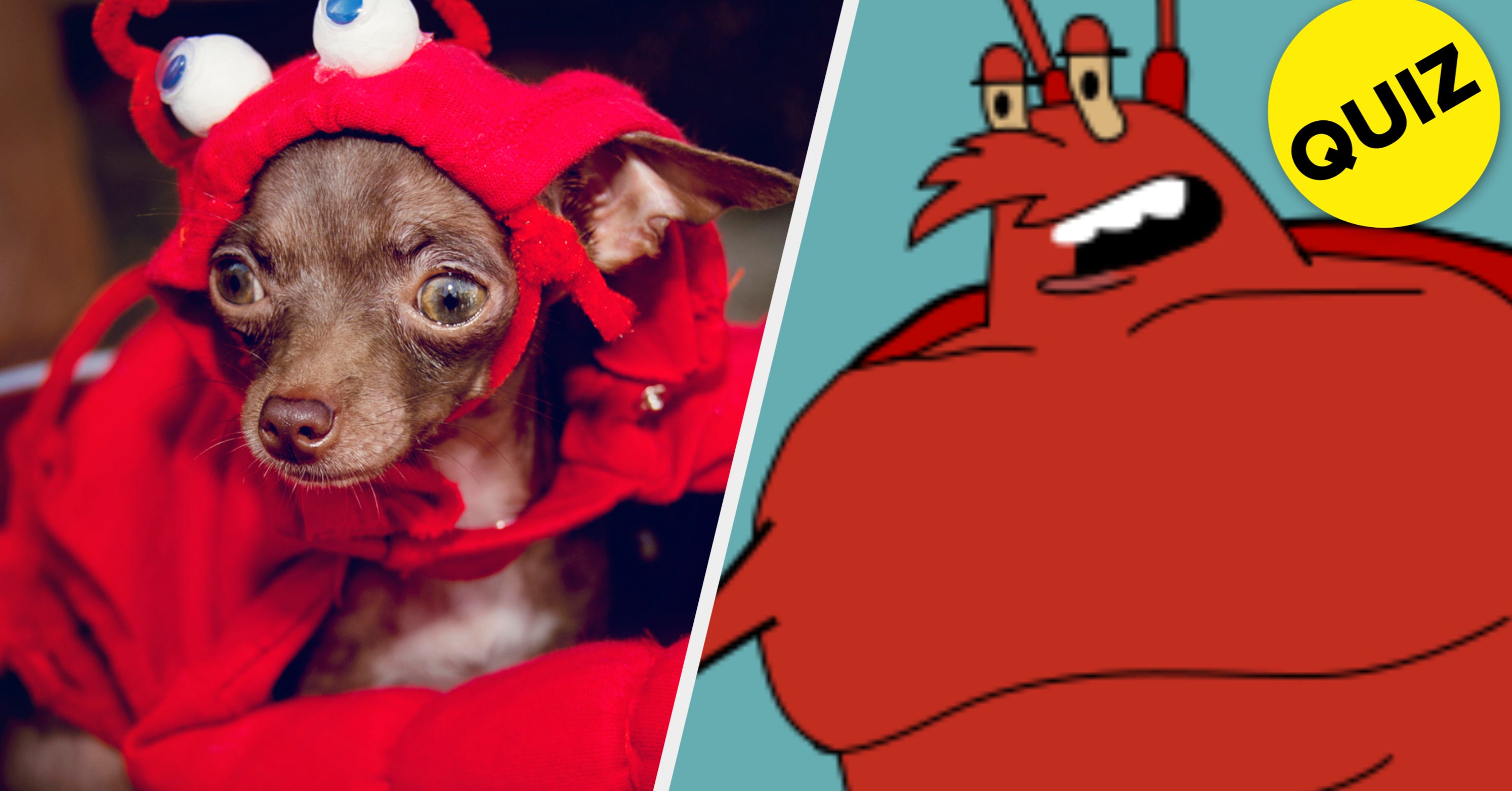 What Kind Of Lobster Are You?