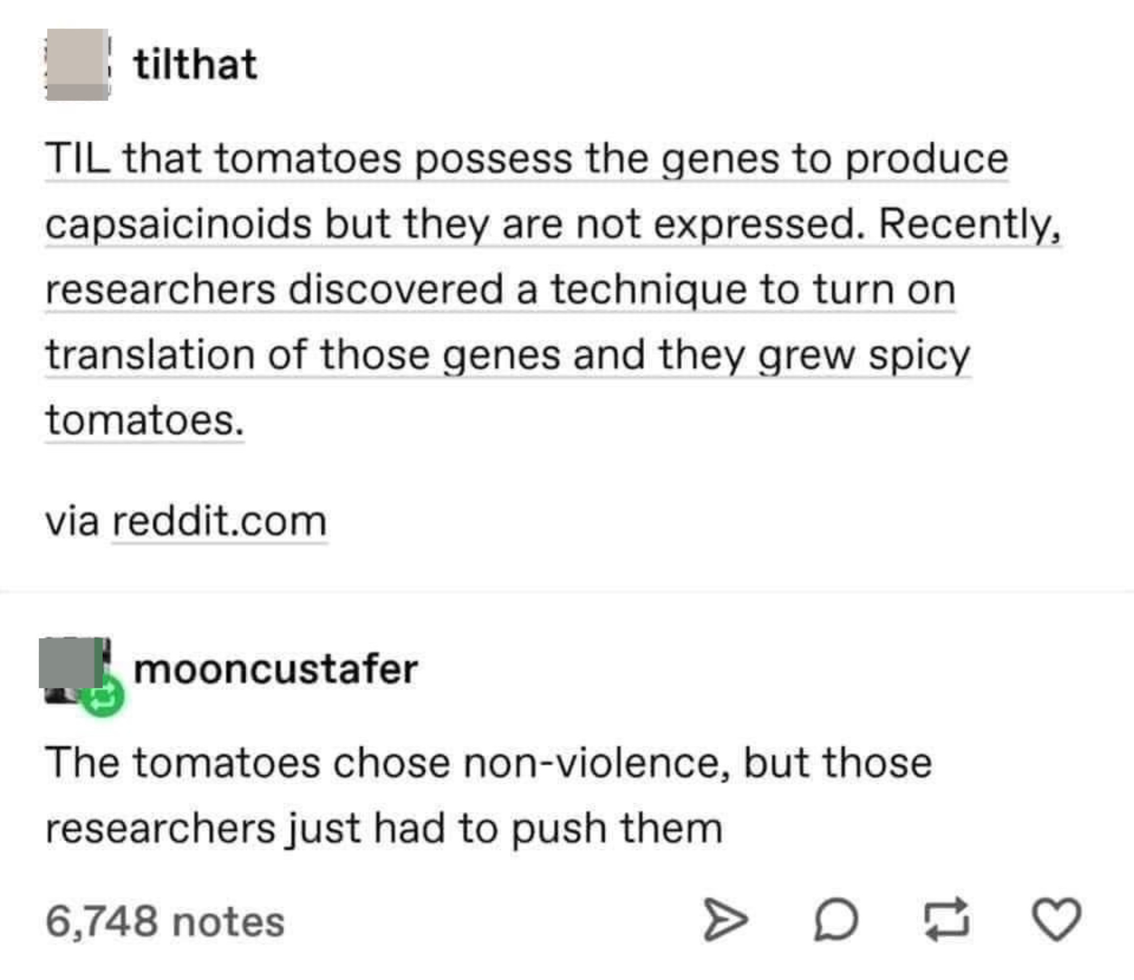 Researchers use a technique to turn on tomato gene to produce capsaicinoids and grow spicy tomatoes, and someone responds that the tomatoes chose nonviolence, but the researchers just had to push them