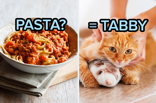 Eat A 7-Course Meal And I'll Reveal Which Cat You Are