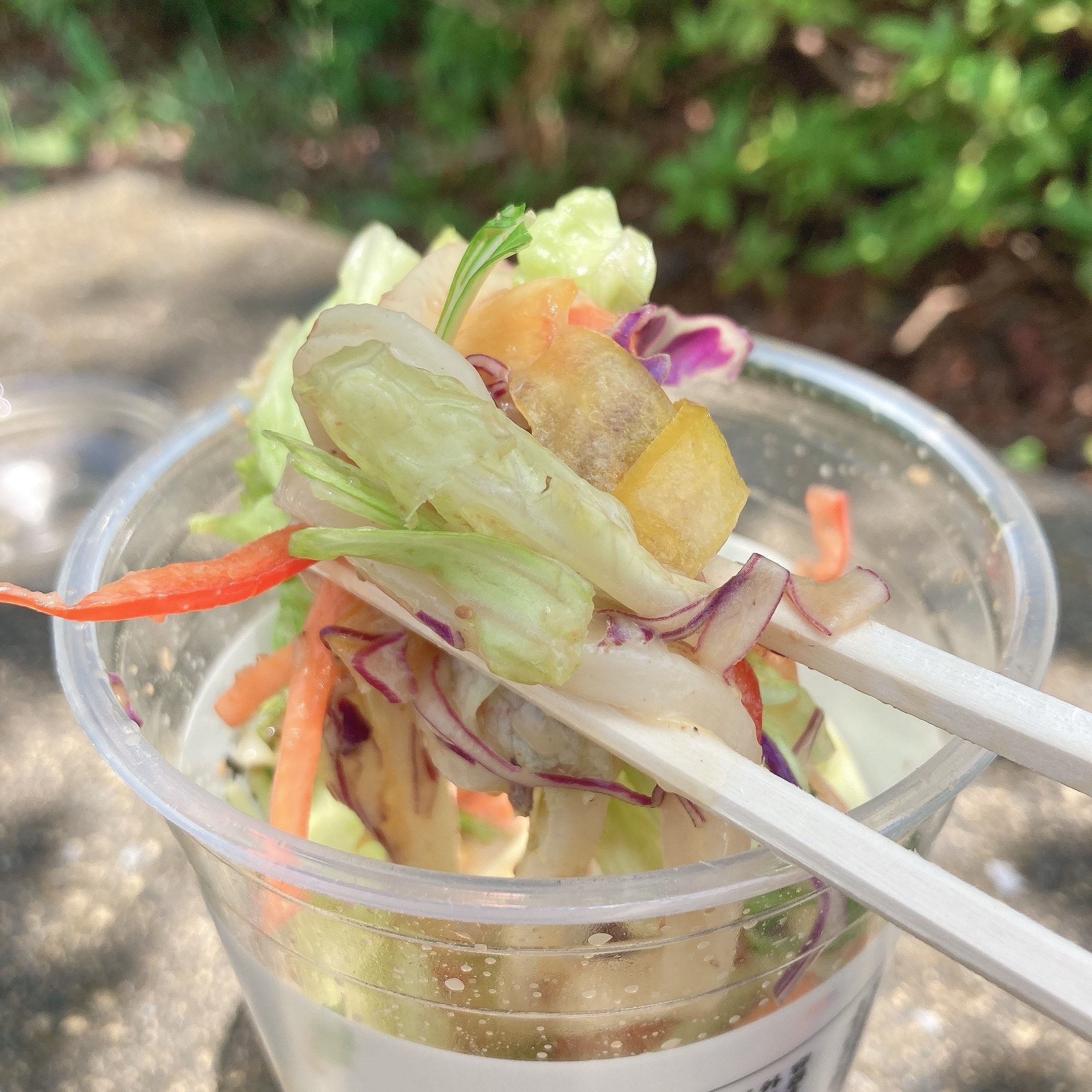 丸亀製麵の期間限定うどん「シェイクうどん ごまだれサラダうどん」