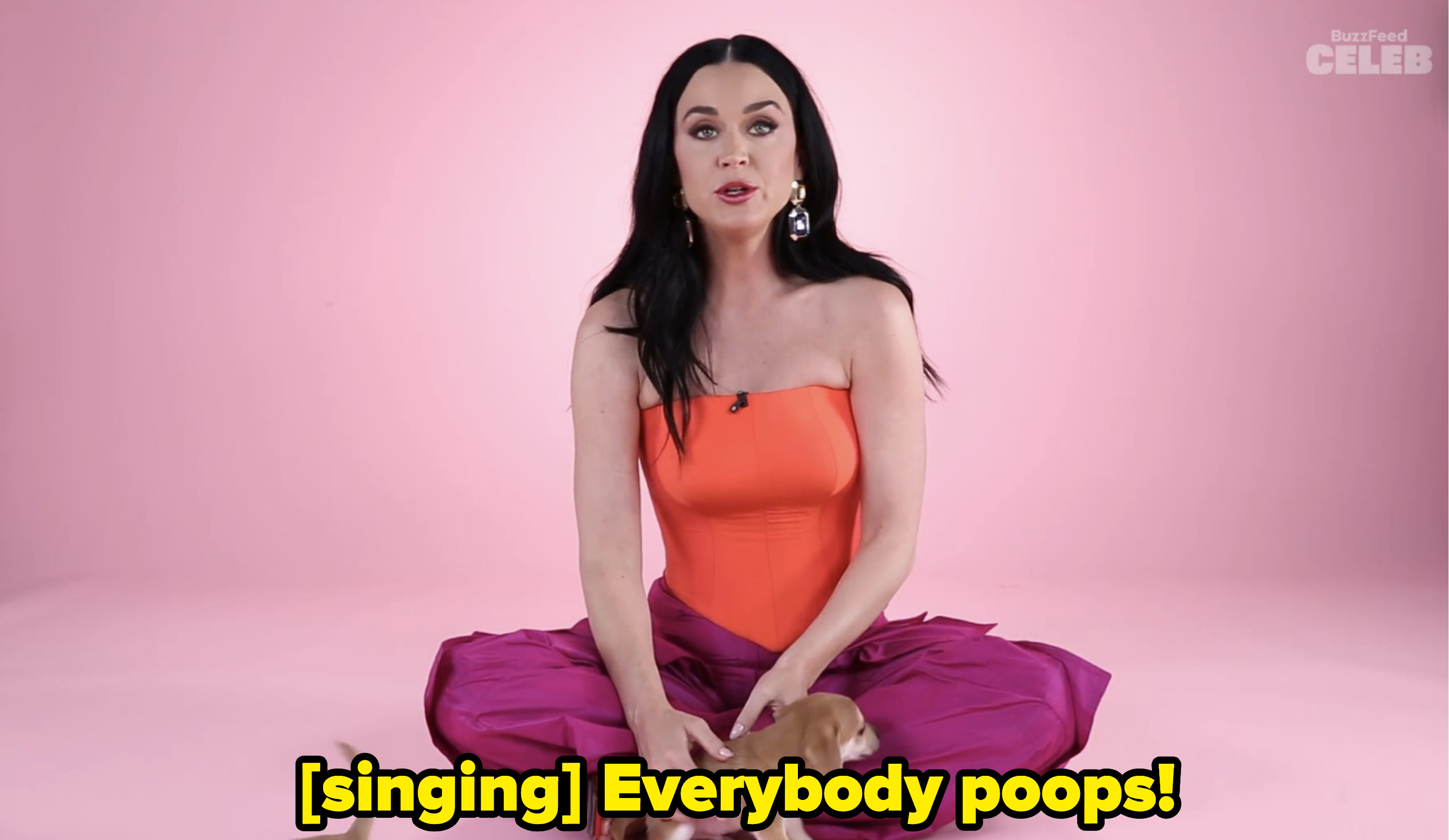 Katy Perry singing, &quot;Everybody poops!&quot;