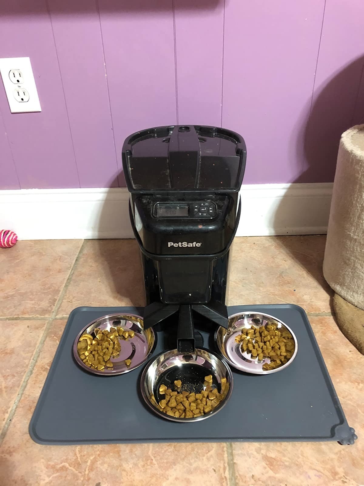 gray mat under three pet bowls filled with food under automatic feeder