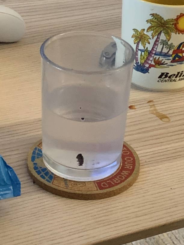 The glass of water has chunks of Oreo floating in it