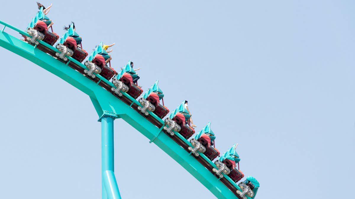 A roller coaster at Canada's Wonderland collided with a bird during a routine trip and subsequently exploded all over the guests seated in the front row.
