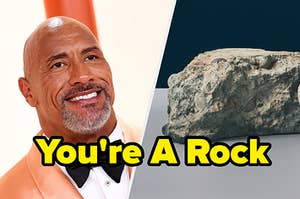 The Rock and a rock