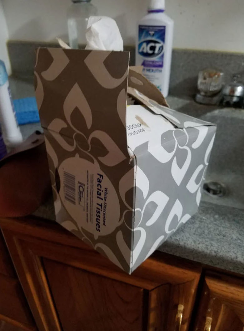 Instead of using the built-in flap to get a tissue, the box has been torn open from the side