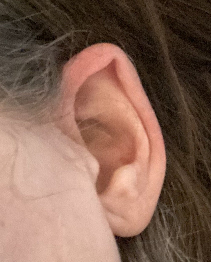 closeup of the ear