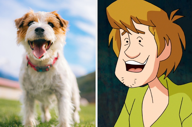 What Animal Are You Based On Your Favorite TV Show Characters?
