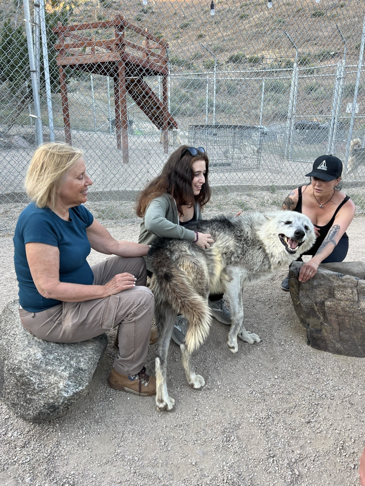 Three women sitting on large rocks with a wolf between them and leaning into one who&#x27;s hugging him