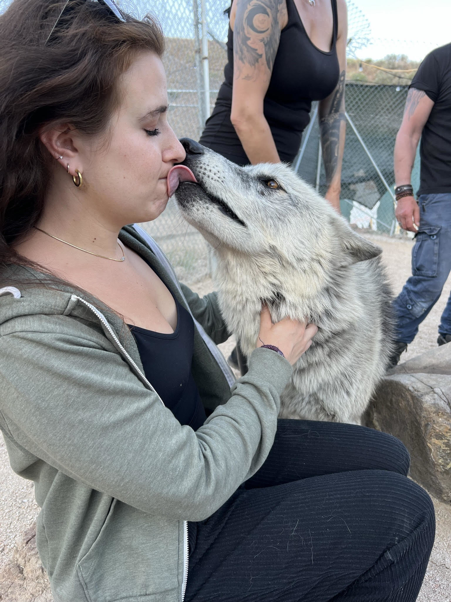 A wolf licking a seated woman&#x27;s closed mouth