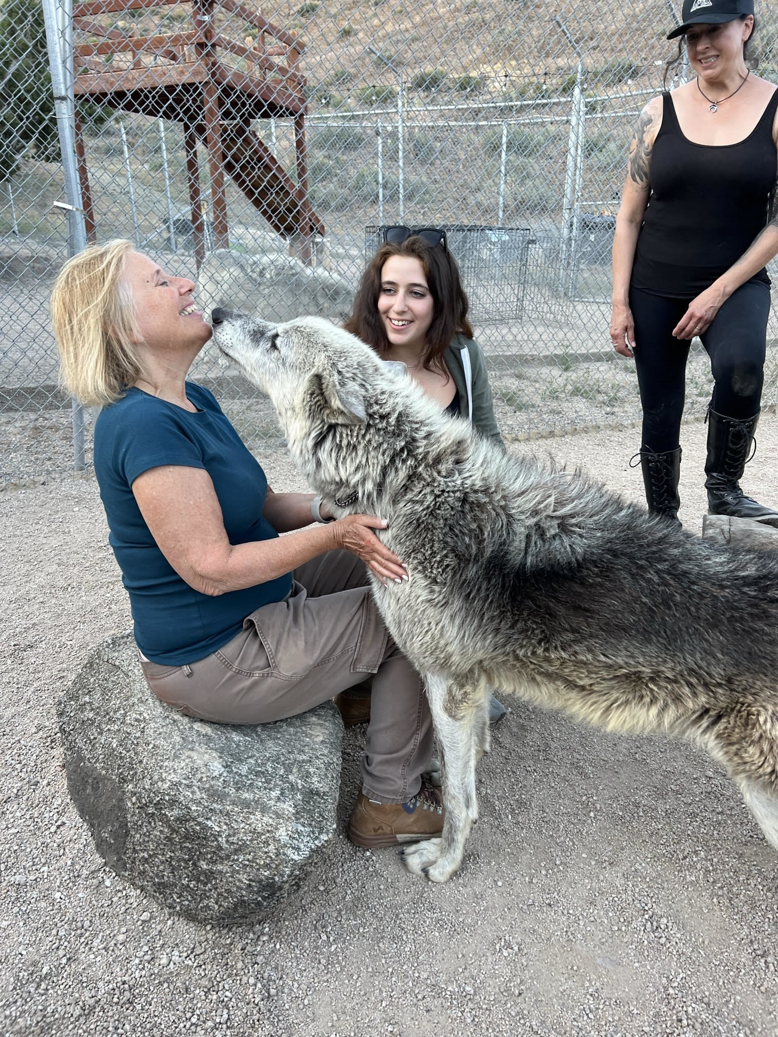 A wolf nuzzling a seated woman&#x27;s raised chin
