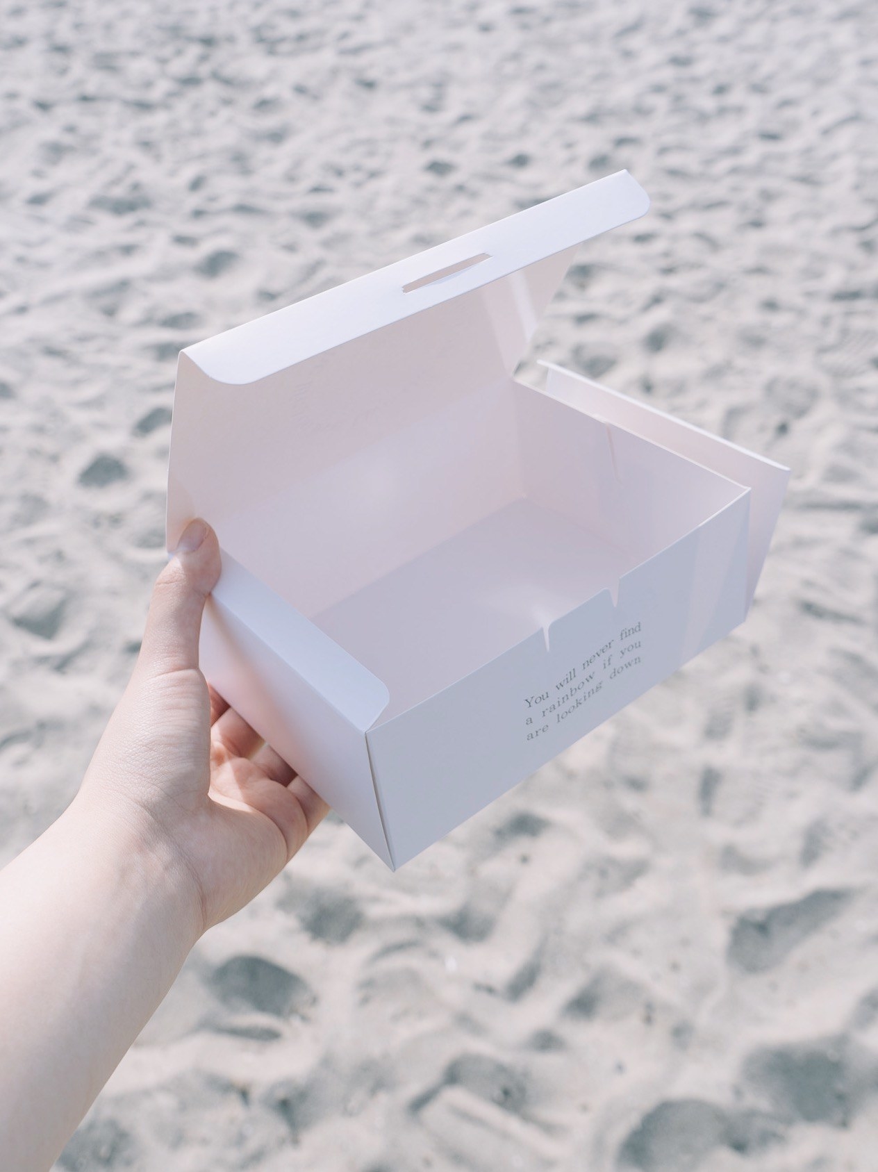 3COINSのおすすめ雑貨「【Natural Picnic】ペーパーランチボックス4個セット」